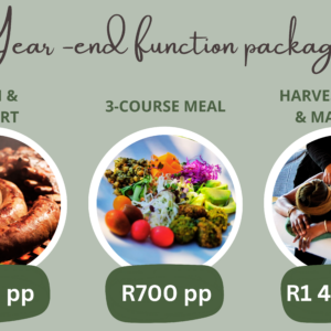 3 KZN YEAR-END FUNCTION OPTIONS FOR YOUR TEAM