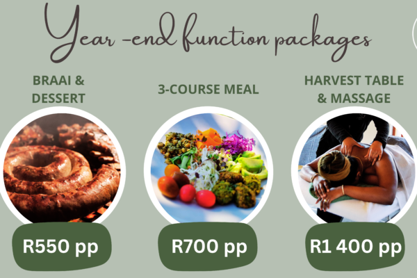 3 KZN YEAR-END FUNCTION OPTIONS FOR YOUR TEAM