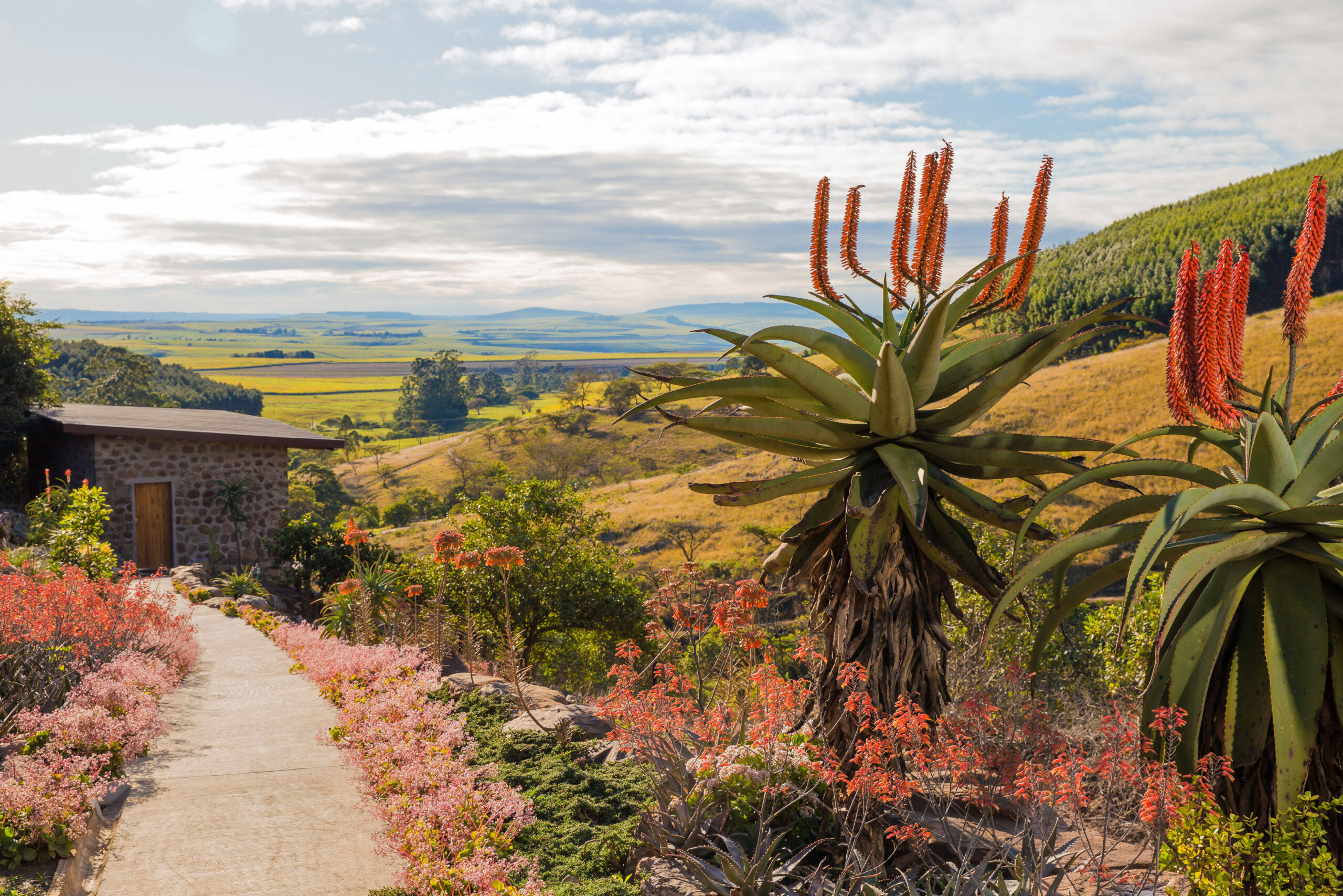 You are currently viewing FANCY A GOURMET PICNIC AT INSINGIZI?