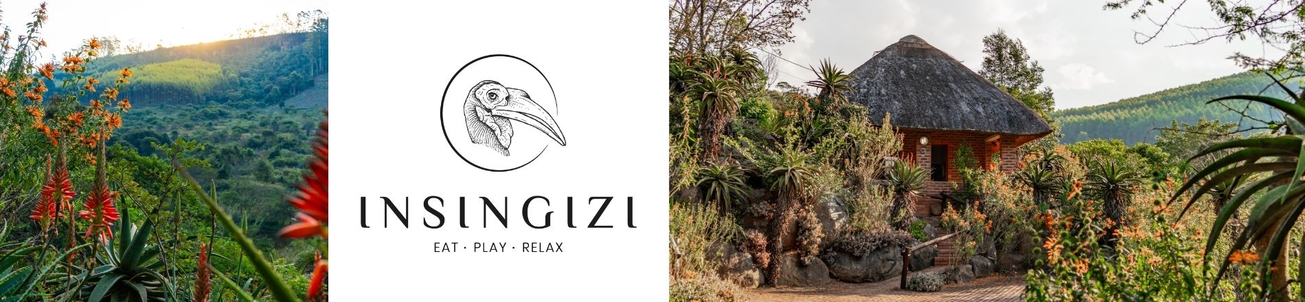 iNsingizi hero template(1)