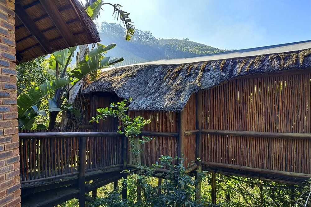 iNsingizi Lodge Figtree Suite 9