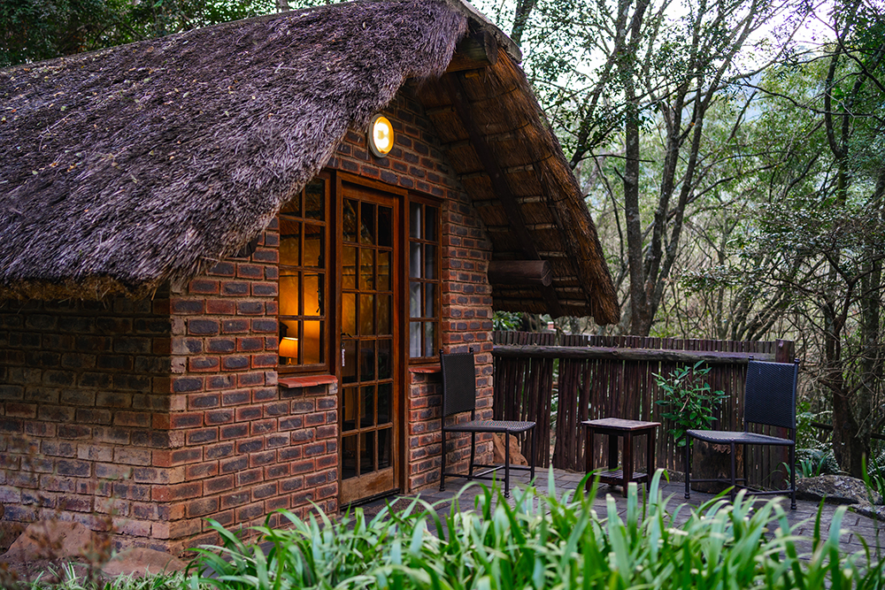 iNsingizi Lodge Forest 11