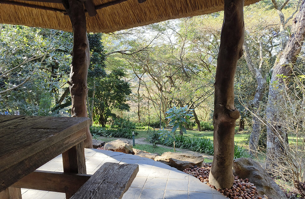 iNsingizi Lodge Forest 12