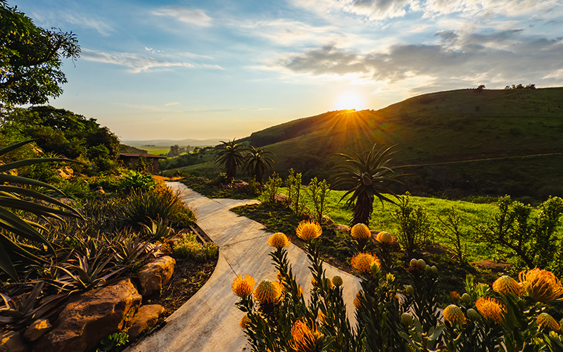 iNsingizi Bush Serenade Overnight Spa Package KZN